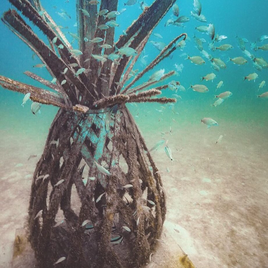 Premiere_travel_planners_underwater museum_cancun_mexico
