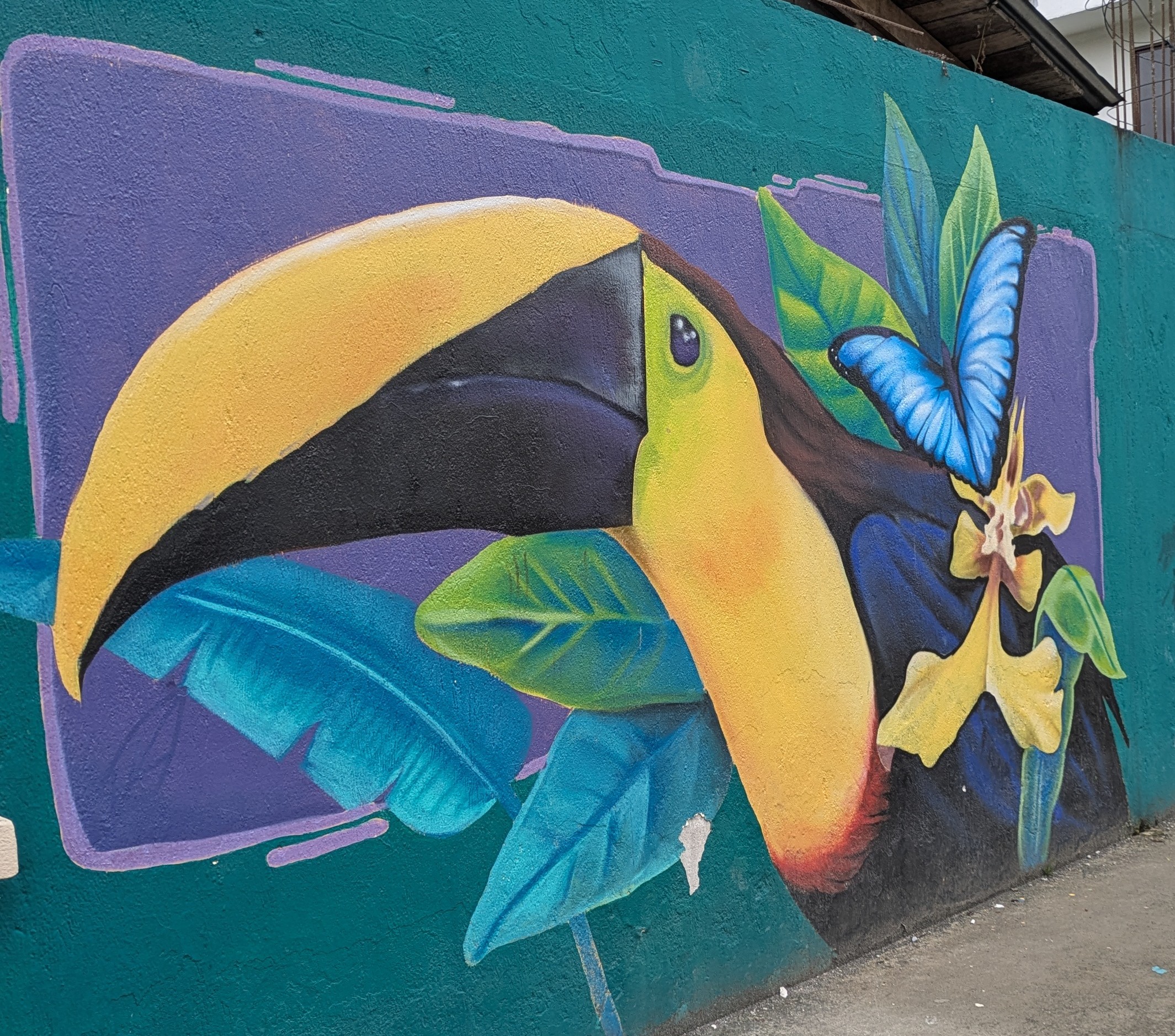 A mural in Mindo, Ecuador